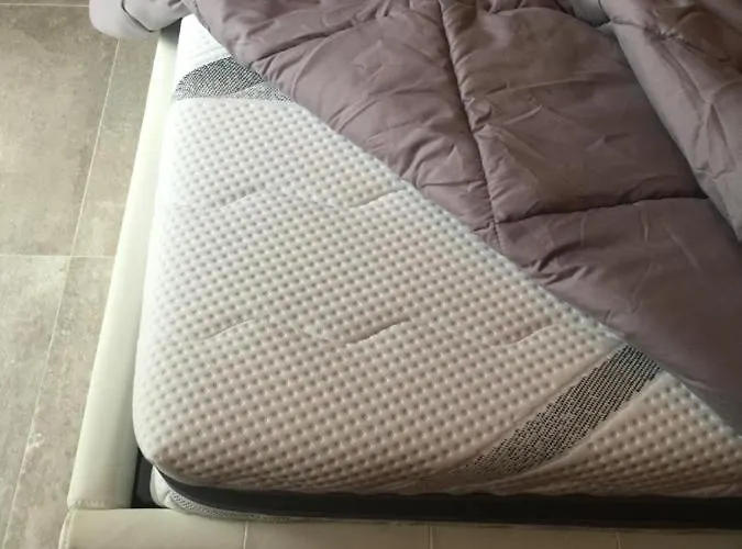 Tenuta Del Falco Montescudo